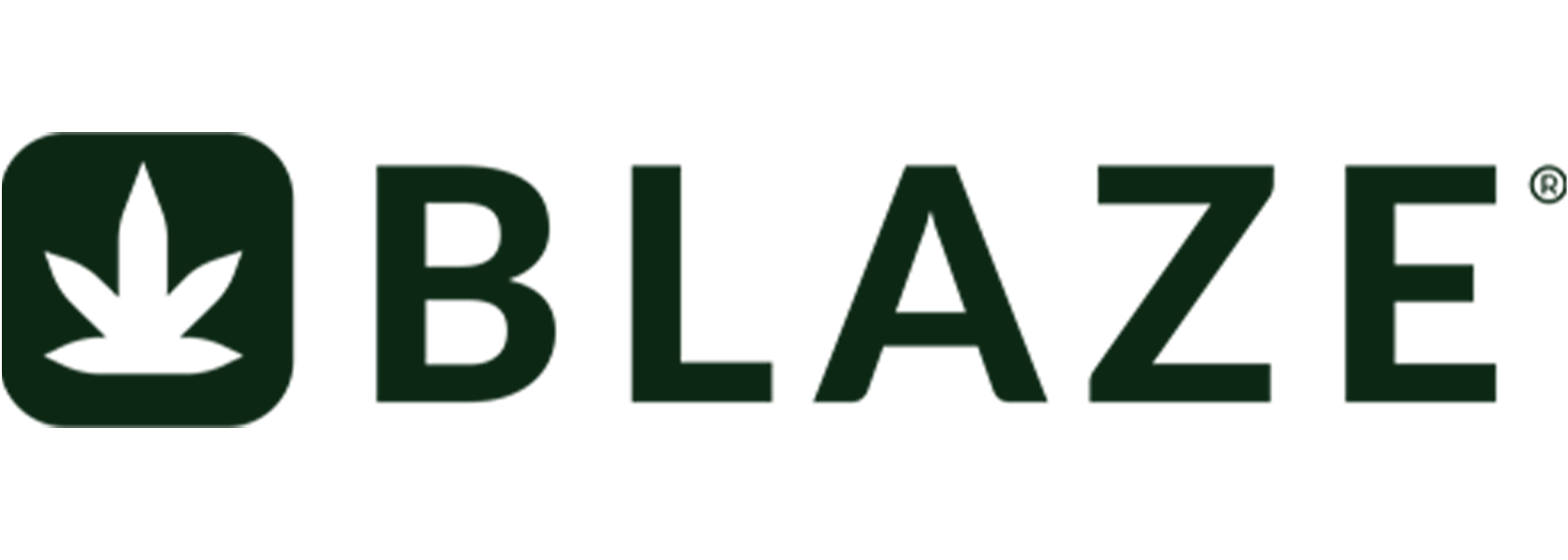 Blaze POS Logo Image
