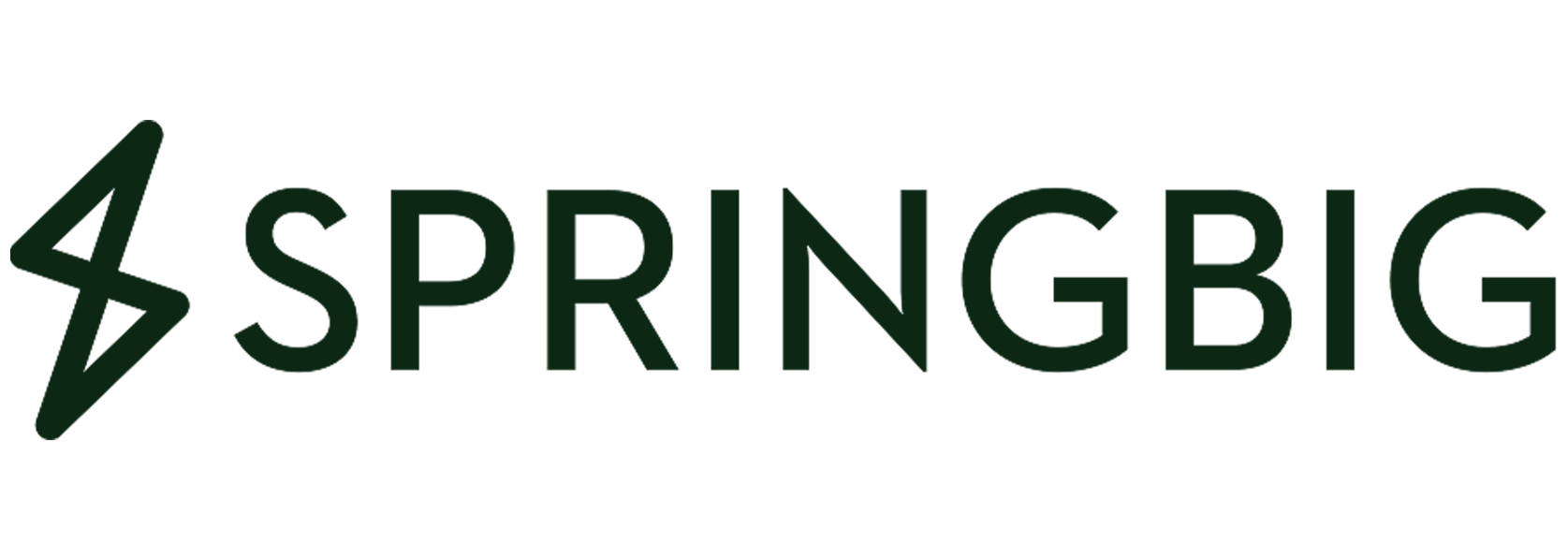 SpringBig Logo Image